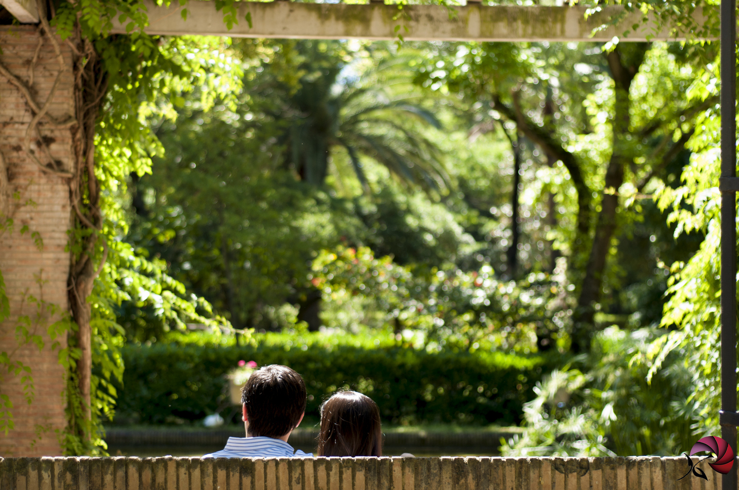 reportaje de fotos en Sevilla