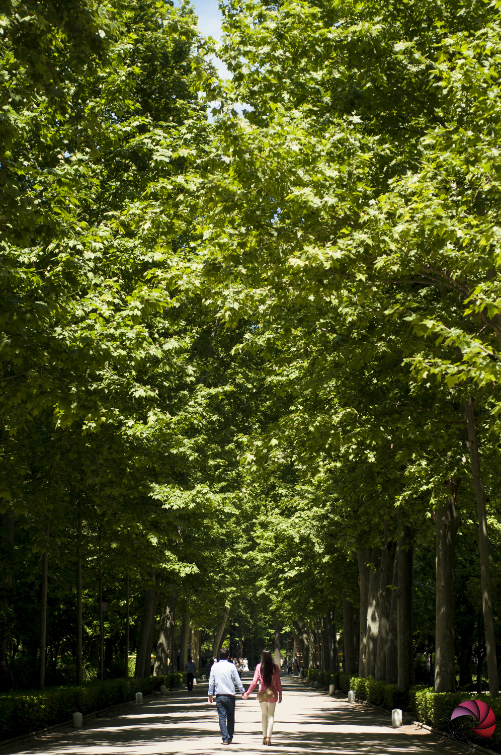 reportaje de fotos en Sevilla